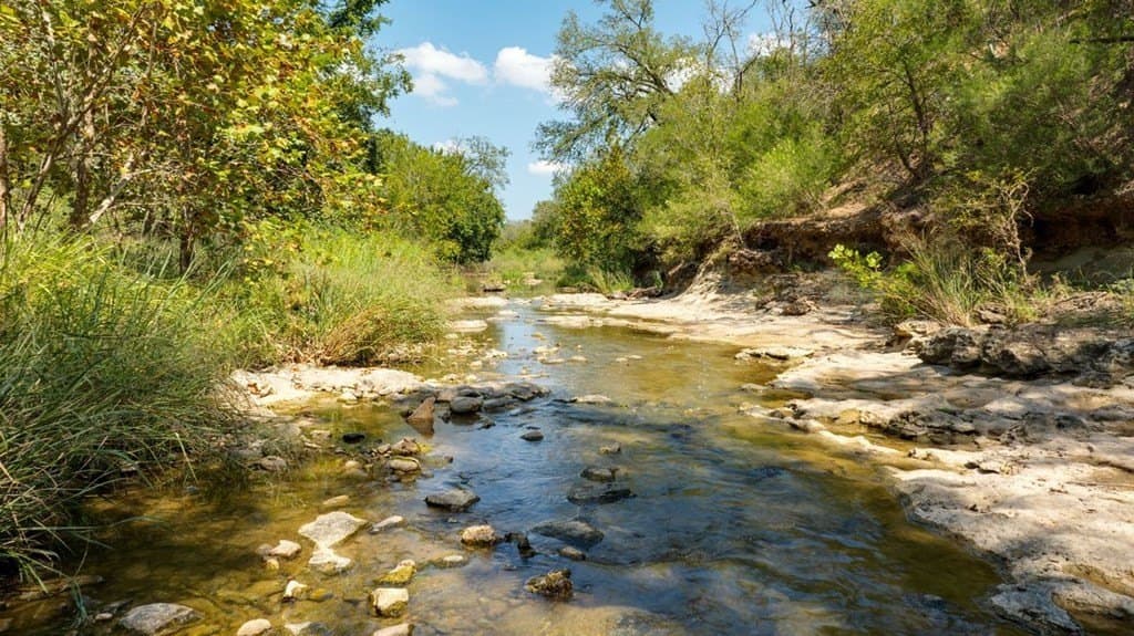 3.14 acres in Gillespie County gallery image 3