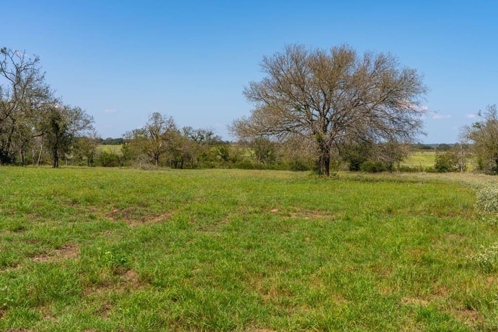 3.14 acres in Gillespie County - photo 14