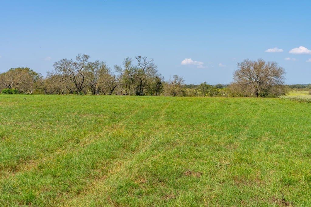 3.14 acres in Gillespie County - photo 6