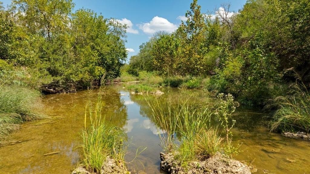 3.14 acres in Gillespie County gallery image 2