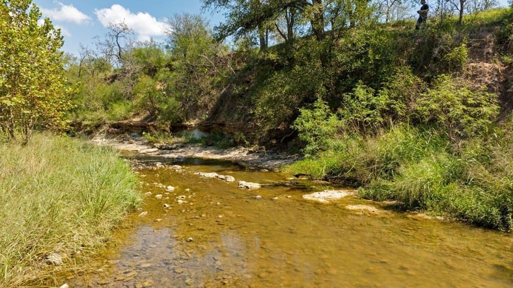 3.14 acres in Gillespie County gallery image 4