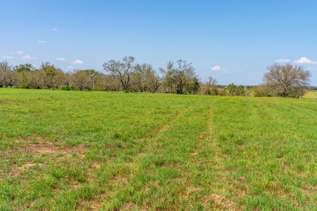 3.14 acres in Gillespie County - photo 9