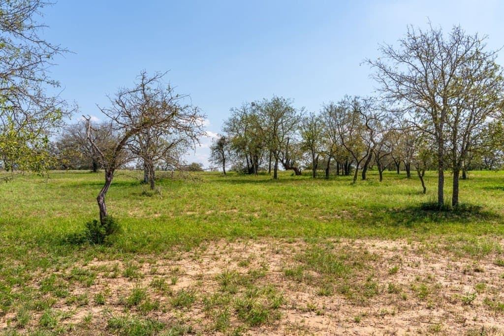 3.14 acres in Gillespie County - photo 12