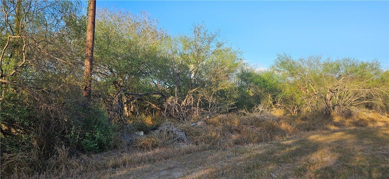 0.16 acres in Jim Wells County gallery image 2