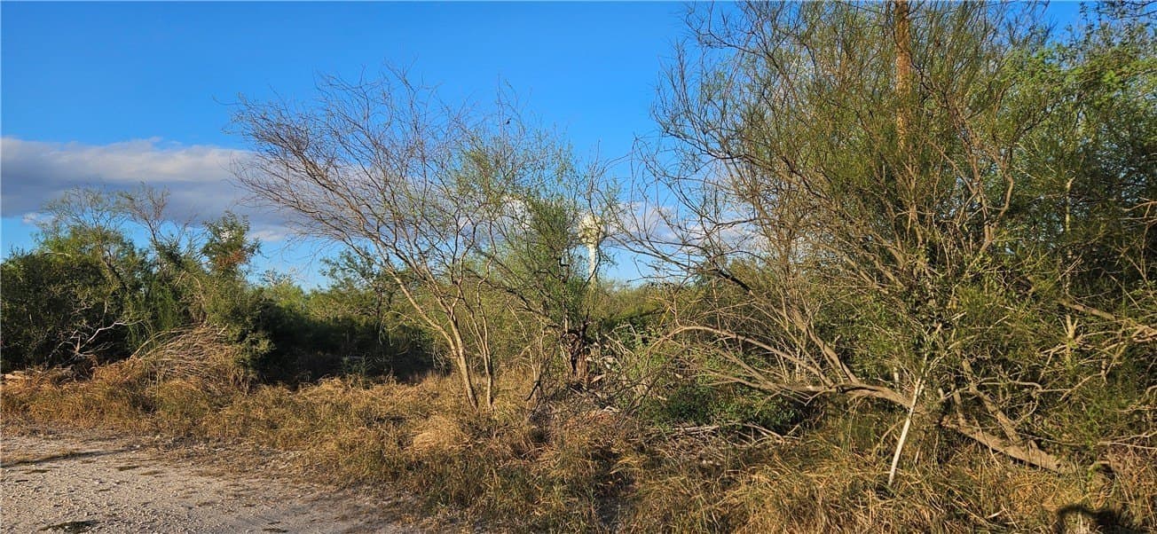 0.16 acres in Jim Wells County