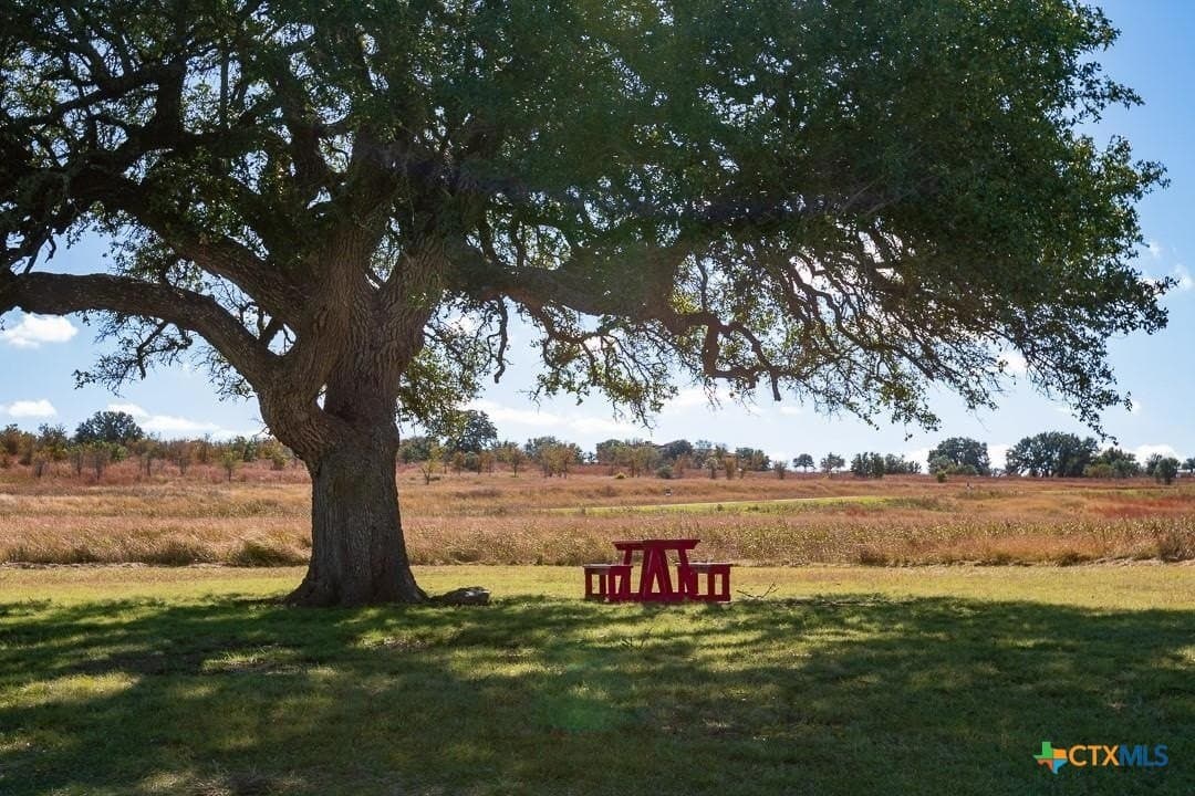 1.2 acres in Williamson County gallery image 4