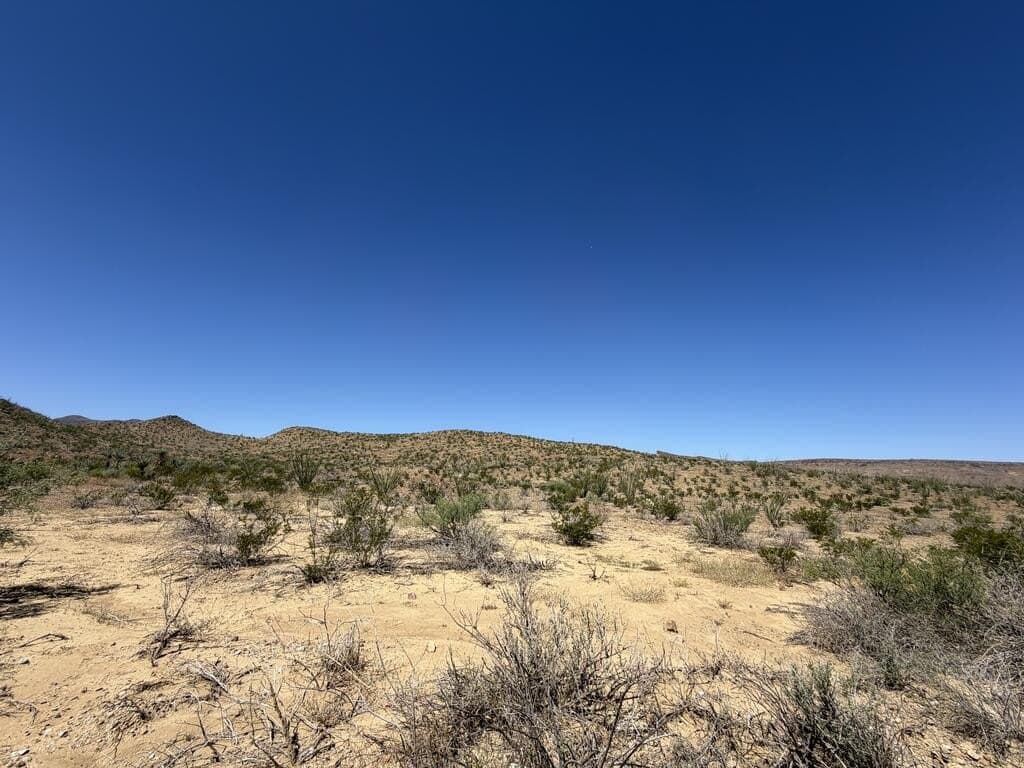 50 acres in Brewster County - photo 9