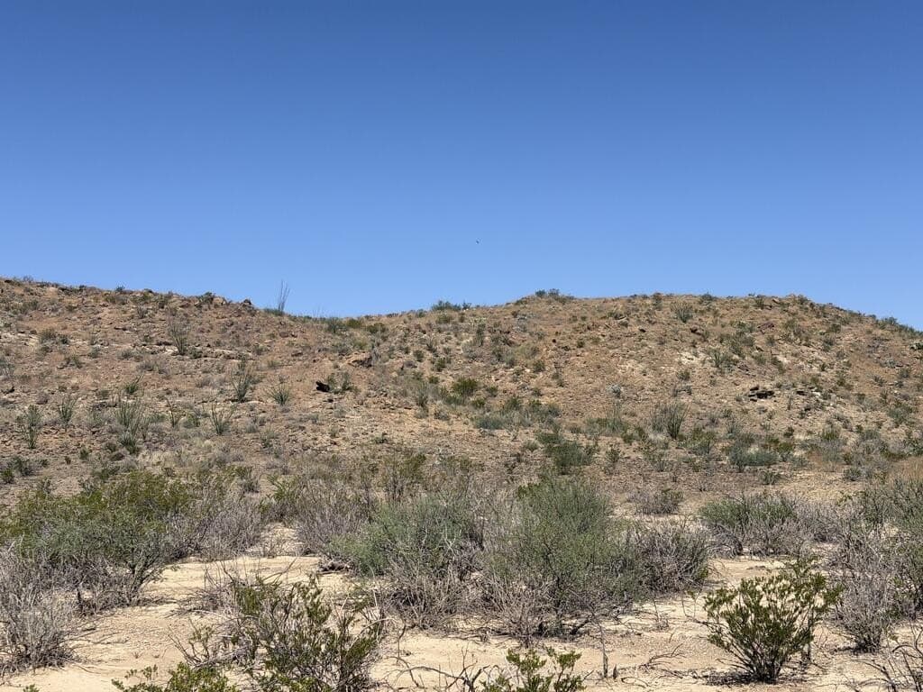 50 acres in Brewster County - photo 17