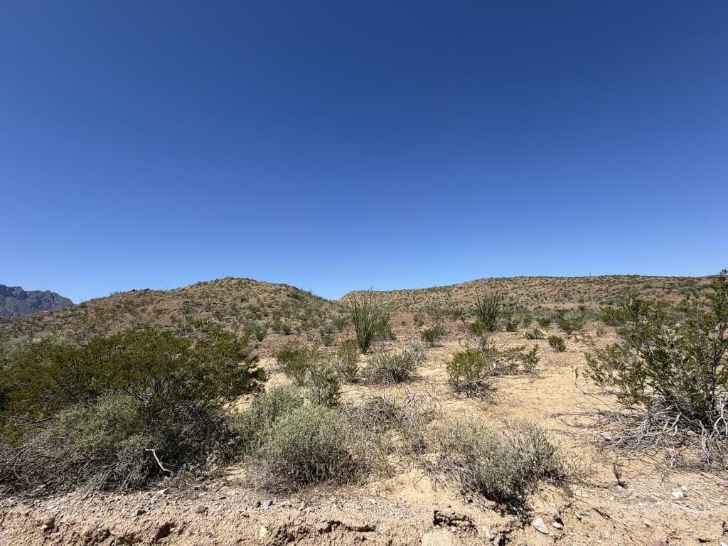50 acres in Brewster County - photo 14