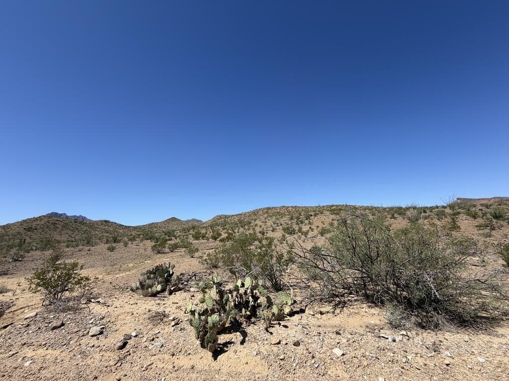 50 acres in Brewster County - photo 8