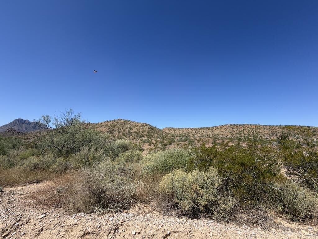 50 acres in Brewster County - photo 15