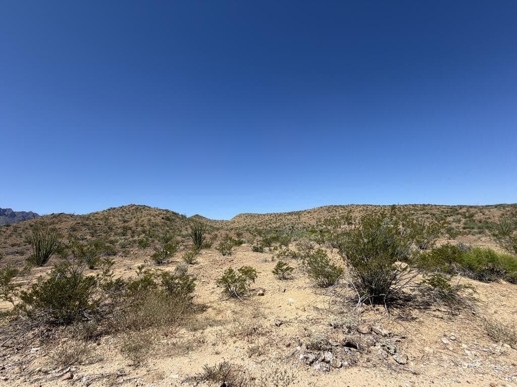 50 acres in Brewster County - photo 12