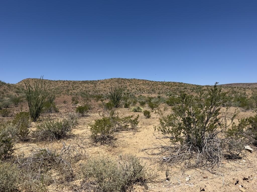 50 acres in Brewster County - photo 13