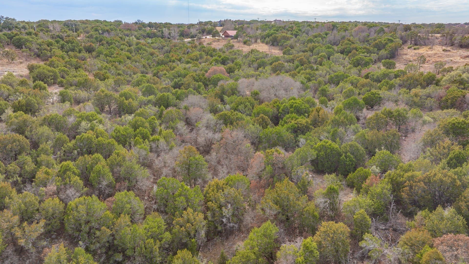 3 acres in Erath County - photo 16