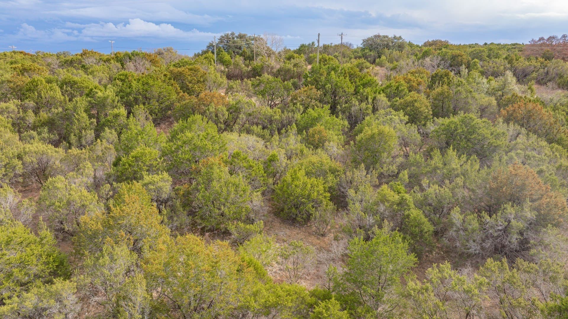 3 acres in Erath County - photo 18