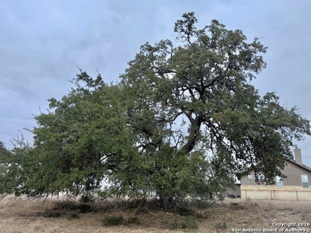 0.22 acres in Blanco County featured view