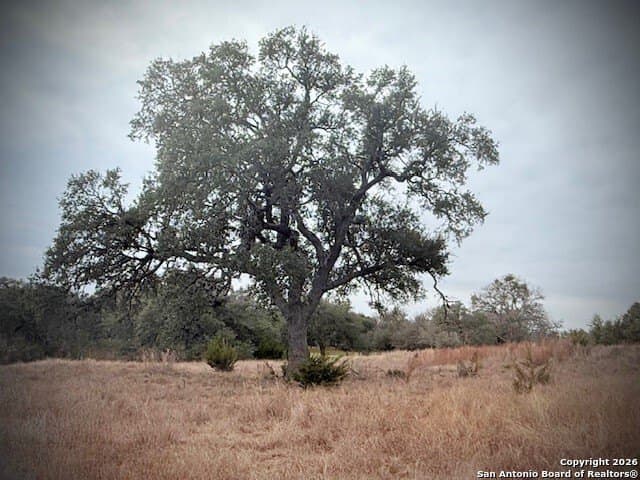 0.22 acres in Blanco County gallery image 3