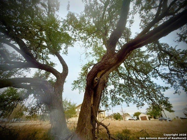 0.22 acres in Blanco County gallery image 4