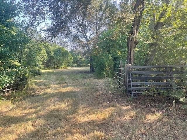 89.5 acres in Texas County - photo 7