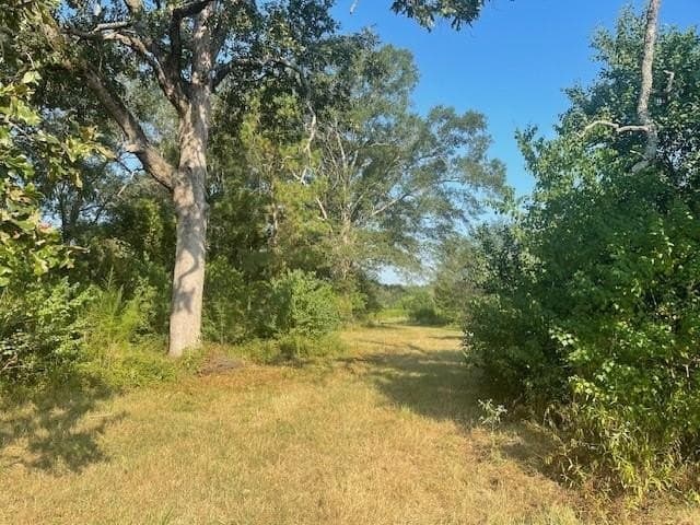 89.5 acres in Texas County - photo 6