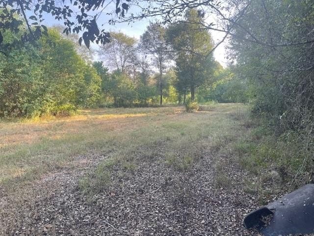 89.5 acres in Texas County - photo 8