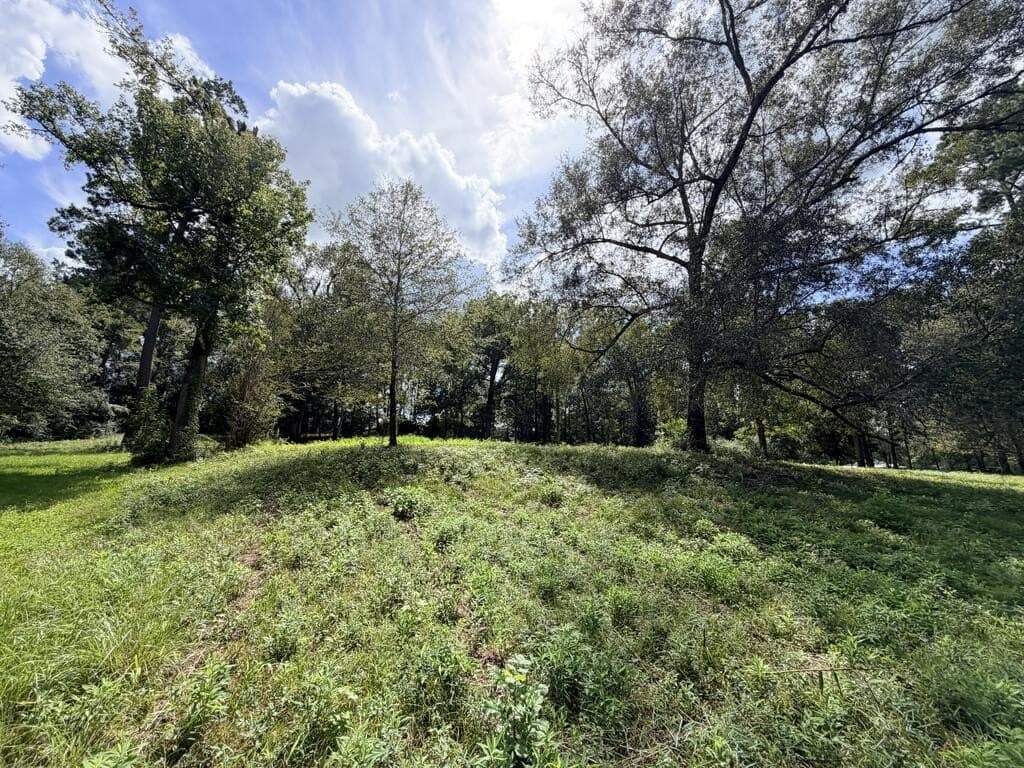 1.99 acres in Texas County - photo 12