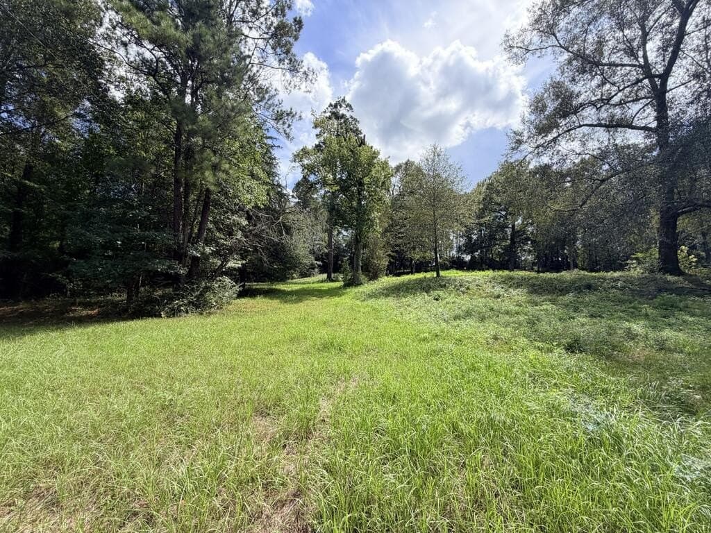 1.99 acres in Texas County - photo 9