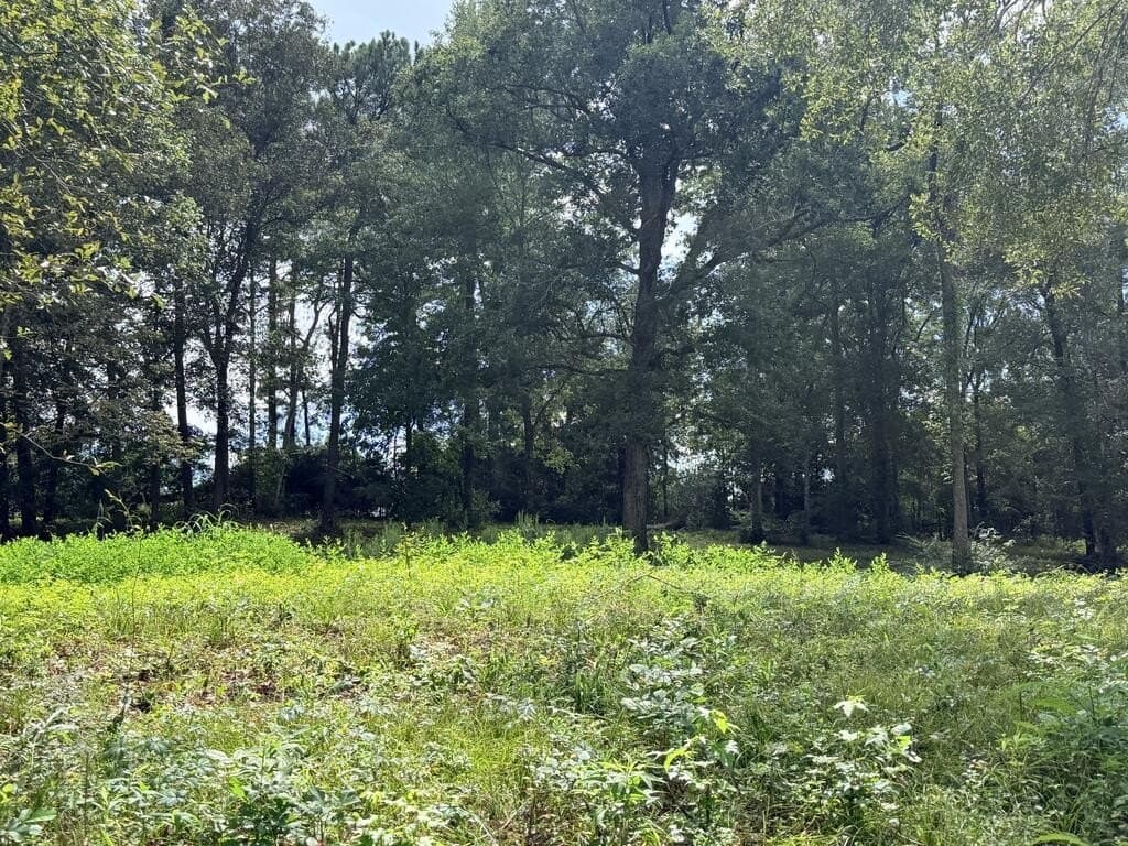 1.99 acres in Texas County - photo 15