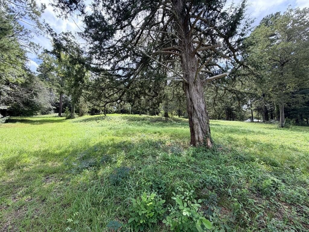 1.99 acres in Texas County - photo 8