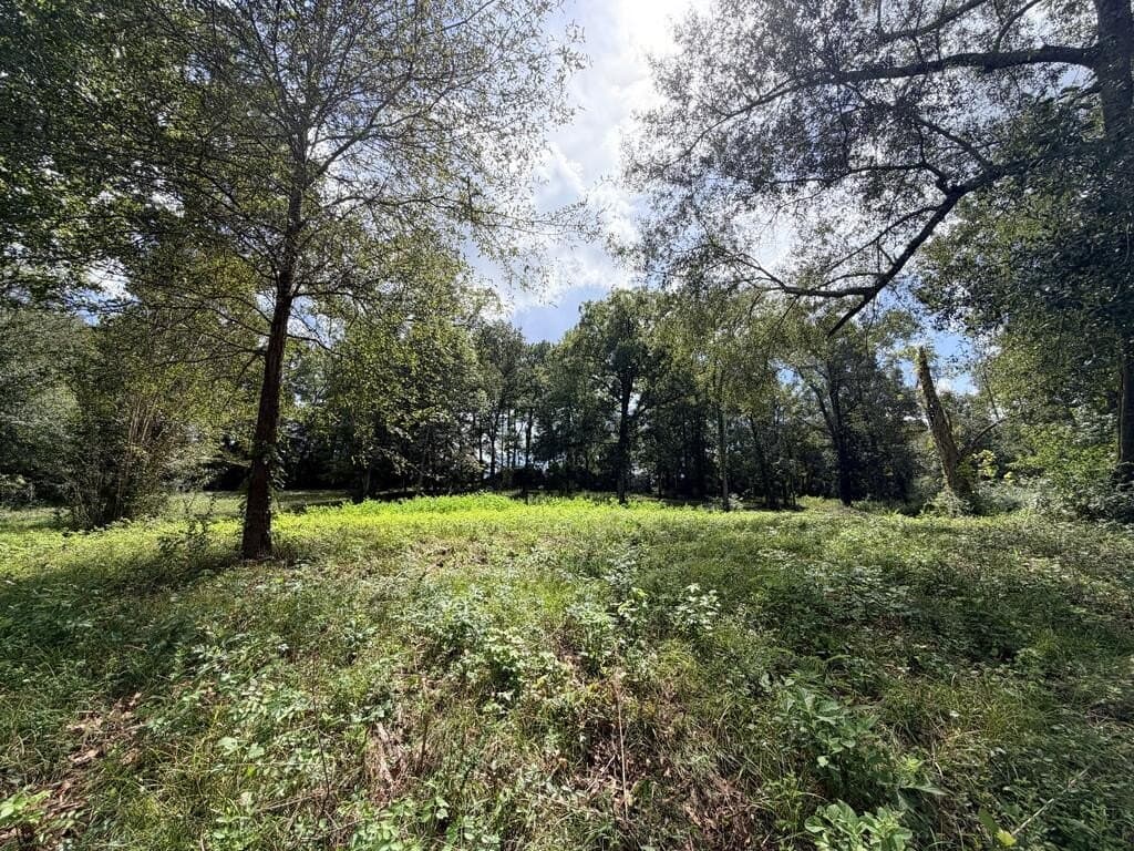 1.99 acres in Texas County - photo 13