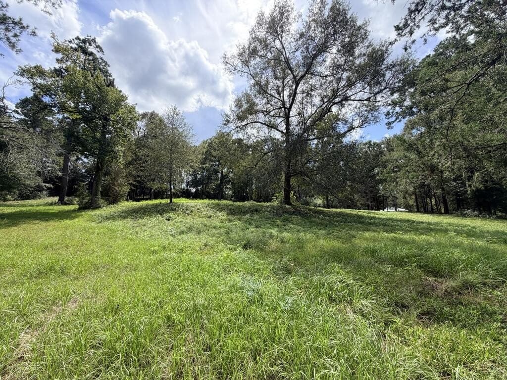 1.99 acres in Texas County - photo 10