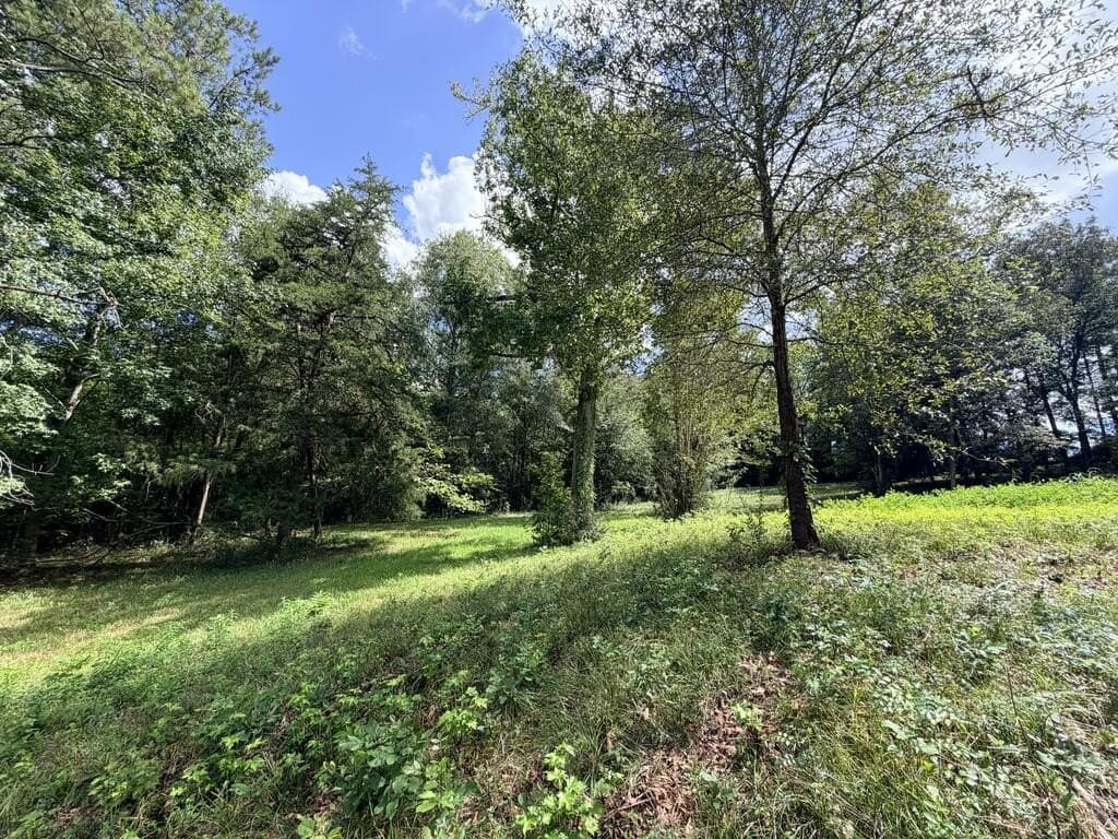 1.99 acres in Texas County - photo 5