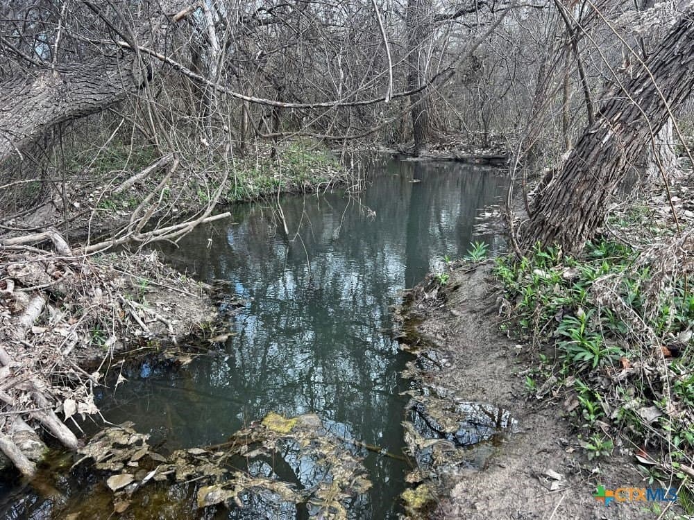 18.02 acres in Williamson County gallery image 4