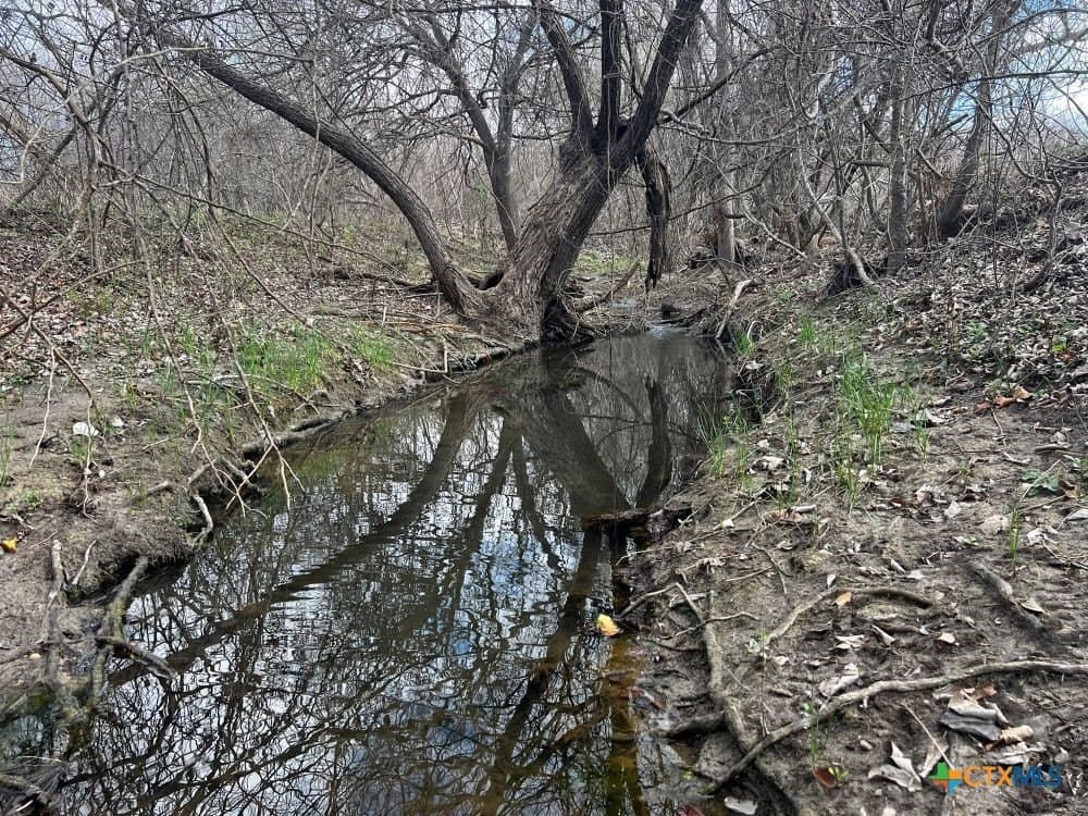 18.02 acres in Williamson County - photo 13