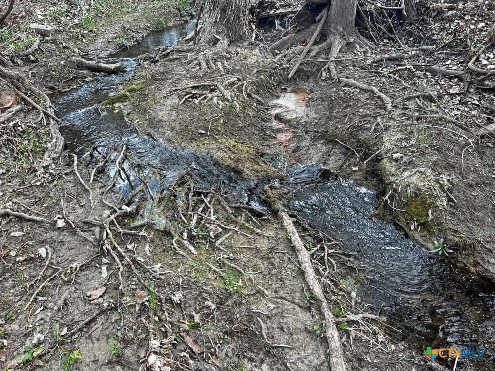 18.02 acres in Williamson County - photo 14