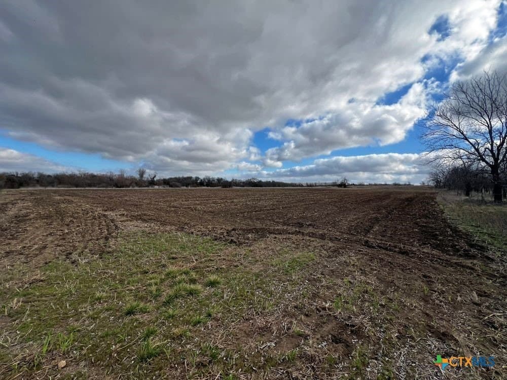 18.02 acres in Williamson County - photo 17