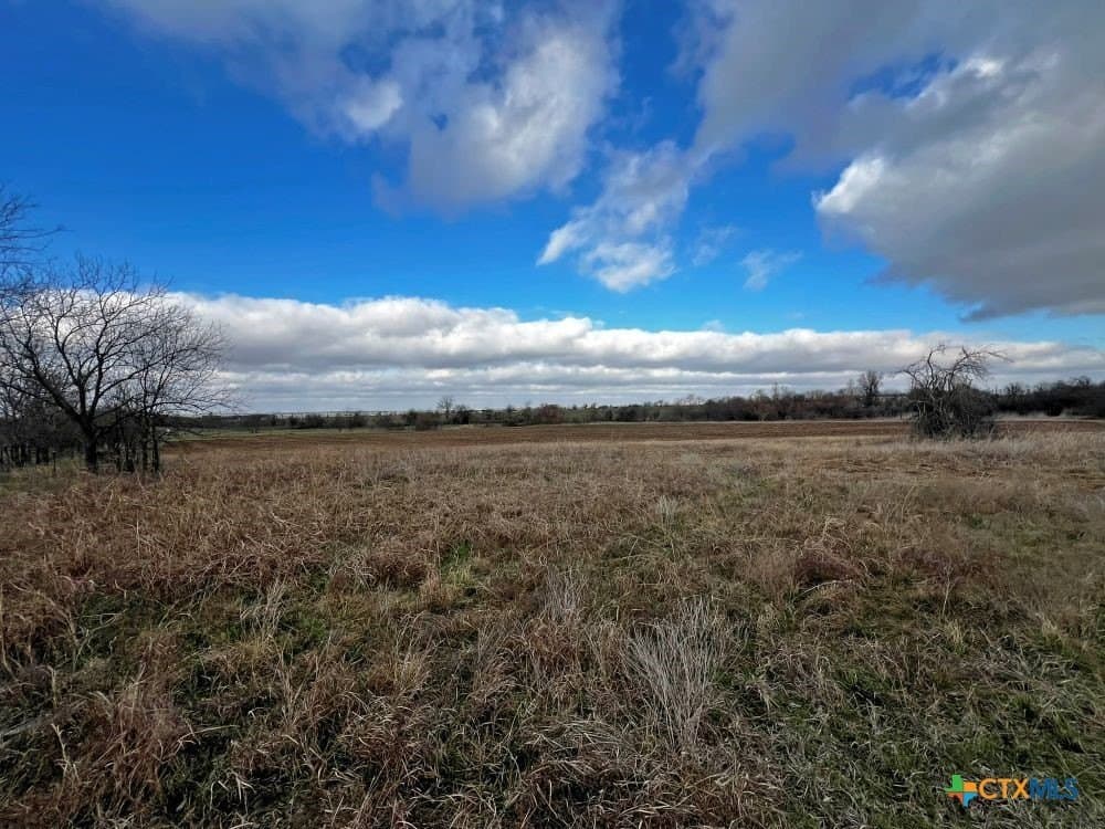 18.02 acres in Williamson County - photo 6