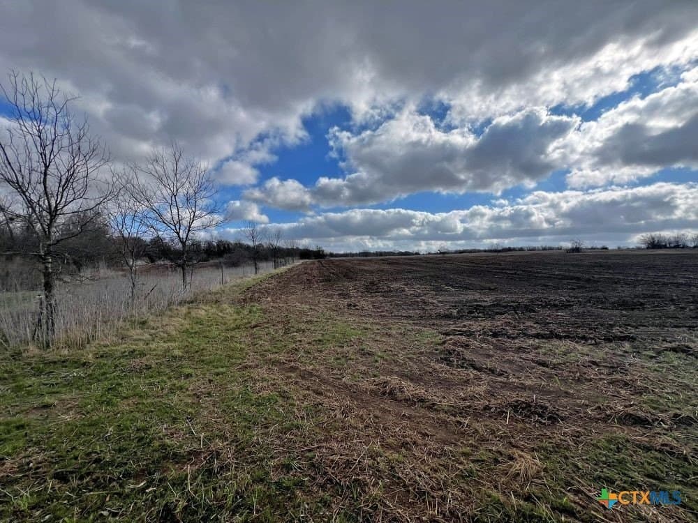 18.02 acres in Williamson County - photo 15