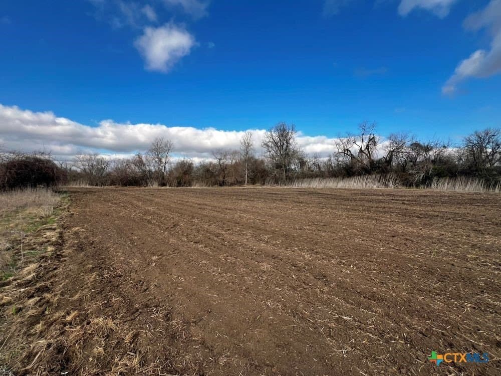 18.02 acres in Williamson County - photo 11