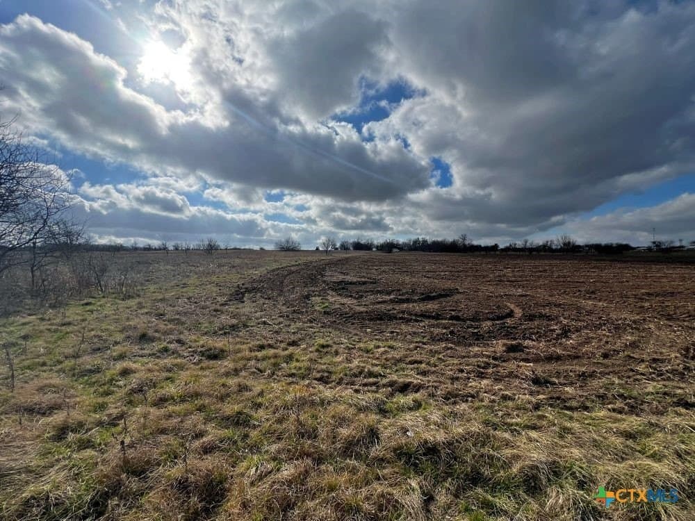 18.02 acres in Williamson County - photo 10