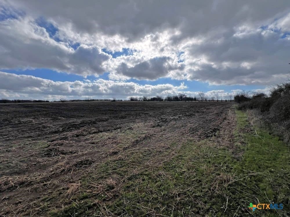 18.02 acres in Williamson County - photo 16