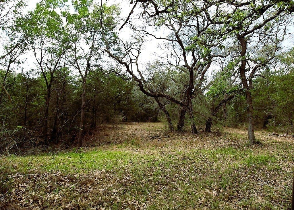 22.86 acres in Colorado County - photo 27