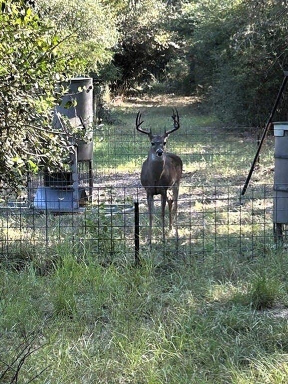 22.86 acres in Colorado County - photo 14