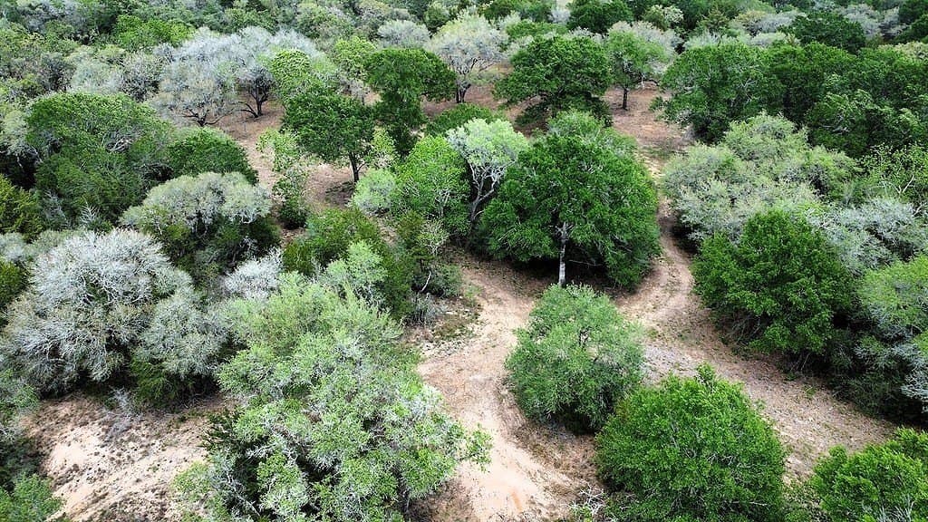 22.86 acres in Colorado County - photo 29
