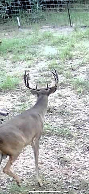 22.86 acres in Colorado County - photo 15
