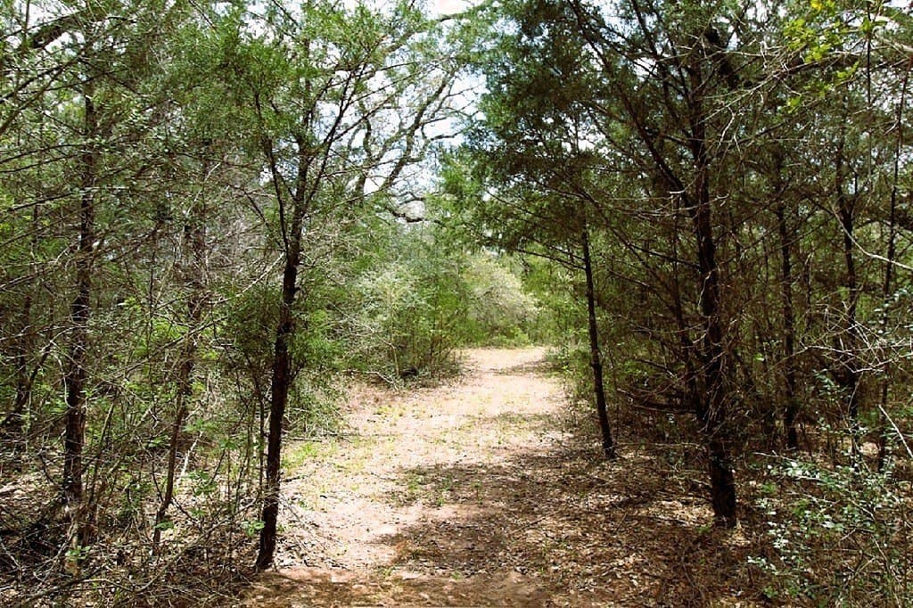 22.86 acres in Colorado County - photo 25