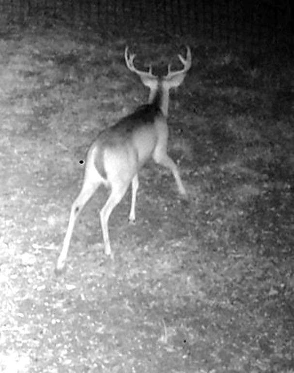 22.86 acres in Colorado County - photo 13