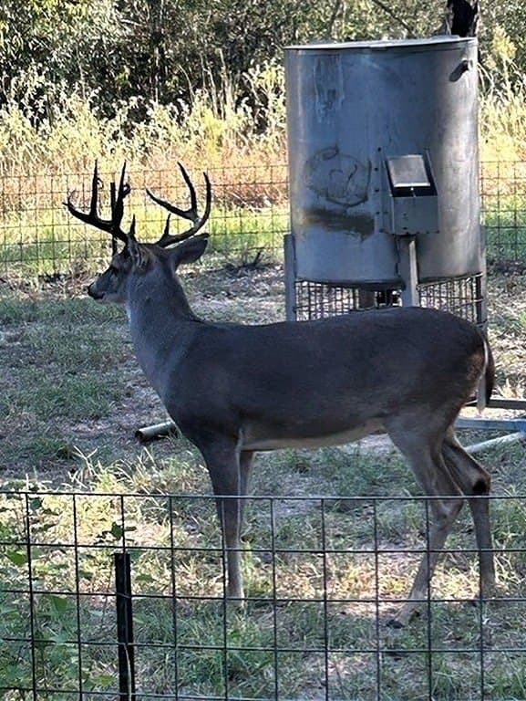 22.86 acres in Colorado County - photo 12