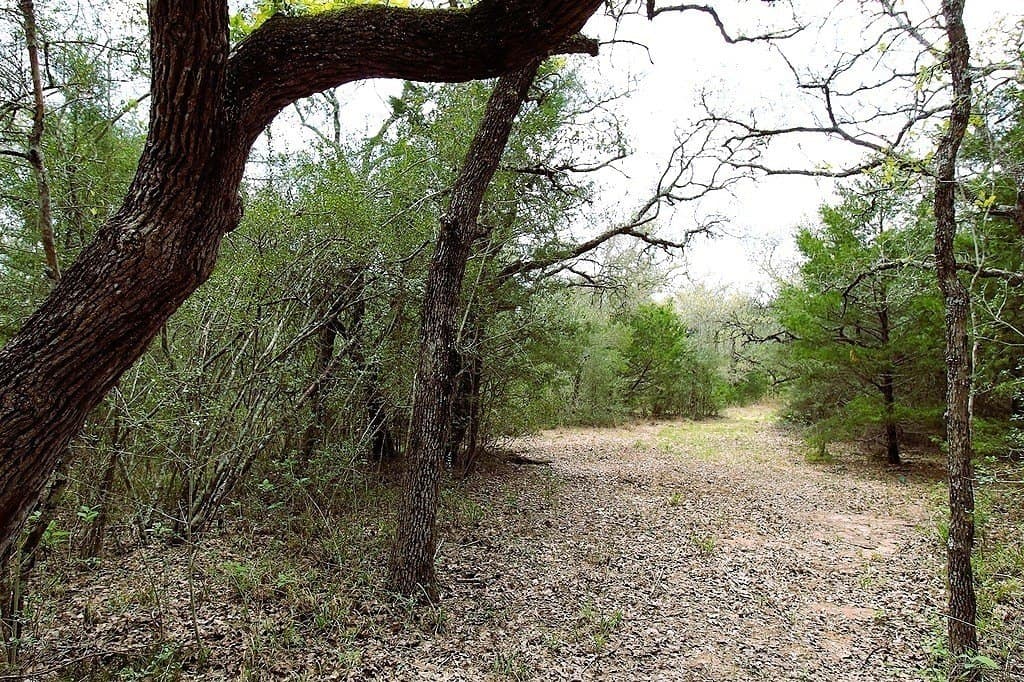 22.86 acres in Colorado County - photo 26
