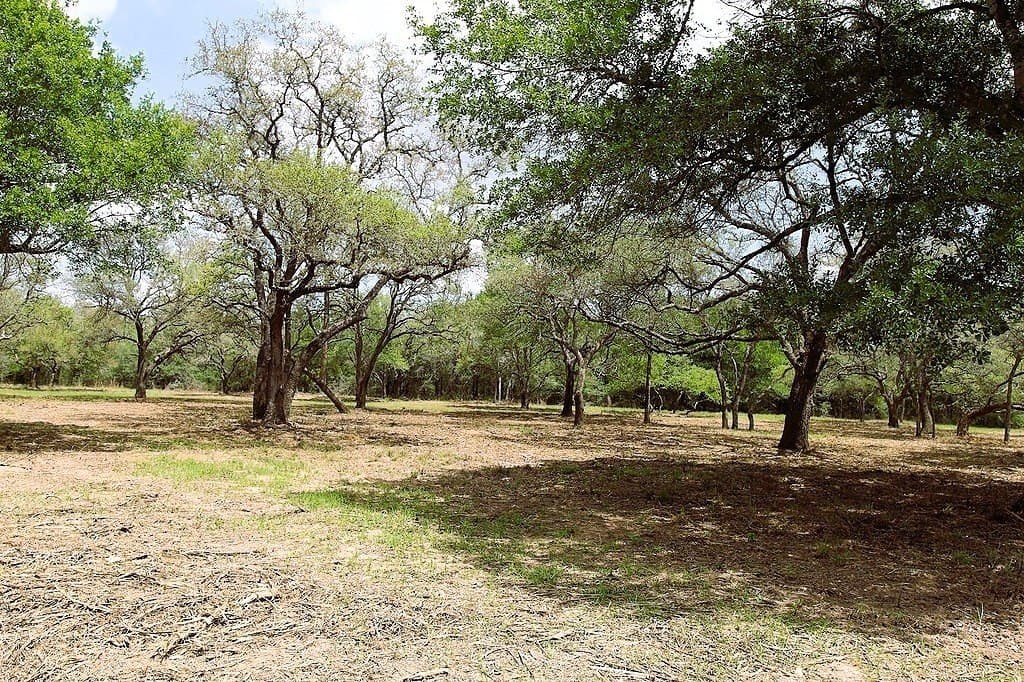 22.86 acres in Colorado County